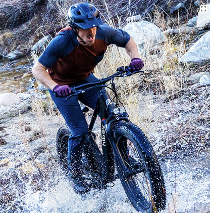 Hiboy P6 Fat Tire e-Bike