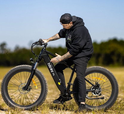 Hiboy P6 Fat Tire e-Bike
