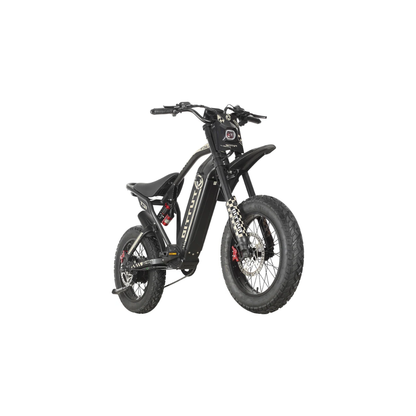 Tuttio ICT Electric Bike