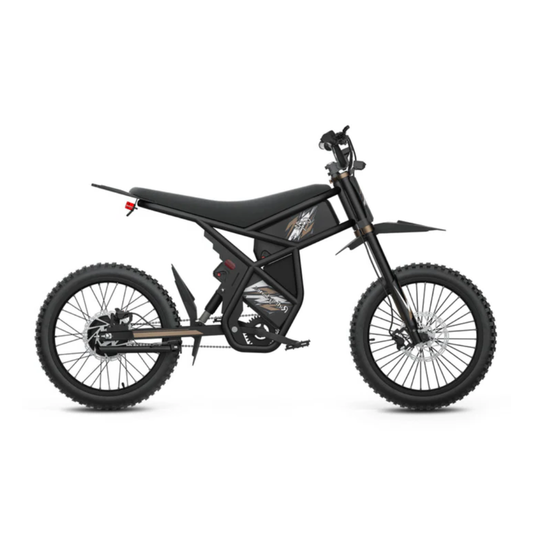 Riding Times GT73 Pro Electric Motorbike