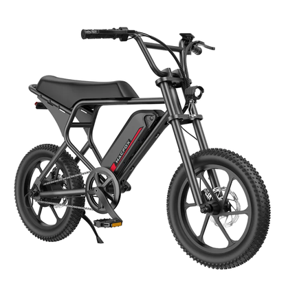 MacFox M19 Electric Bike