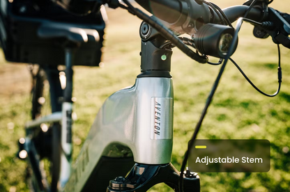 Aventon Level 3 Step-Through Electric Bike