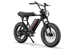 MacFox X2 Electric Mountain Bike