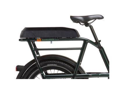 Rad Power Bikes RadRunner 3/RadRunner Max Passenger Package