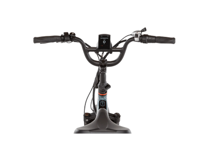 RadExpand 5 Electric Folding Bike