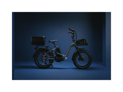 RadExpand 5 Electric Folding Bike