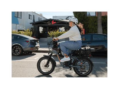 RadExpand 5 Electric Folding Bike