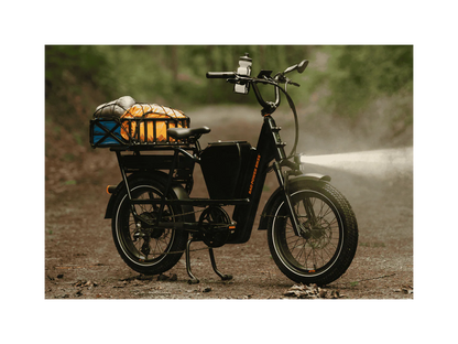 Rad Power Bikes RadRunner™ Max Electric Cargo Utility Bike