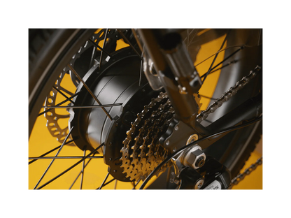 Rad Power Bikes RadRunner™ Max Electric Cargo Utility Bike