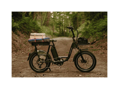 Rad Power Bikes RadRunner™ Plus Electric Cargo Utility Bike