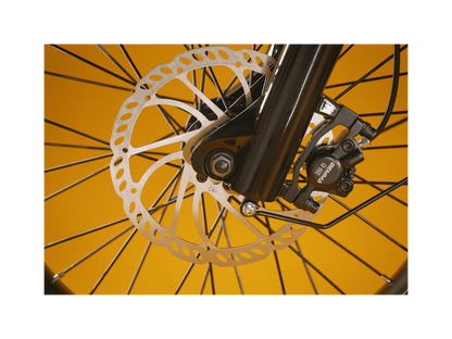 Rad Power Bikes RadRunner™ Plus Electric Cargo Utility Bike