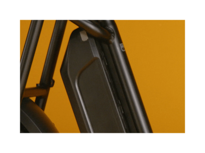 Rad Power Bikes RadRunner™ Plus Electric Cargo Utility Bike