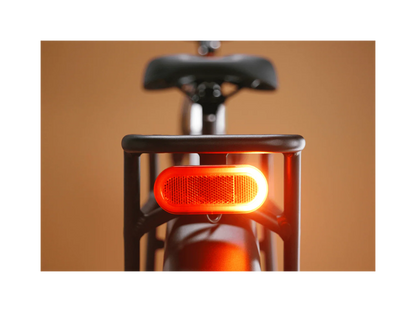 Rad Power Bikes Radster Trail Electric Off-Road Bike