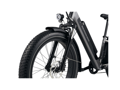RadRover™ 6 Plus Electric Fat Tire Bike