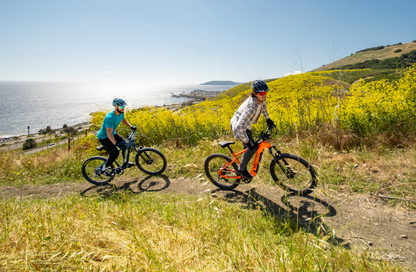 Velotric Summit 1 Electric Mountain Bike