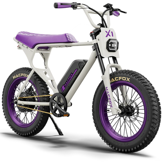 MacFox X1S x Bs.Zay Electric Bike