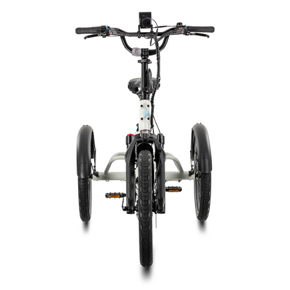 Lectric XP Trike2