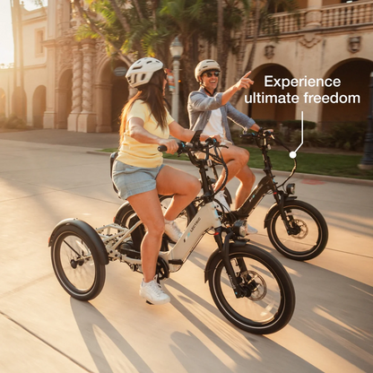 Lectric XP Trike2