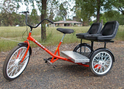 Worksman Family Dual Chariot Trike
