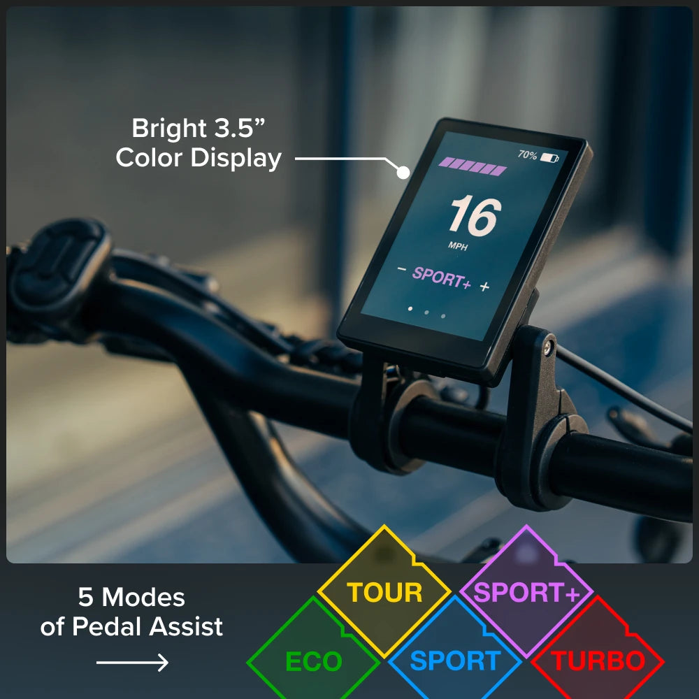 XP Lite3 display detail
