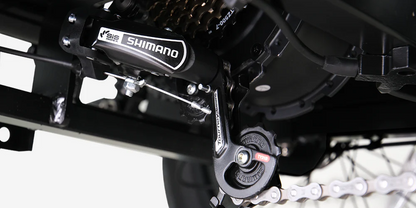 Meet One Tour – Dual-Motor, Dual-Battery Electric Trike