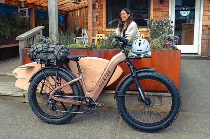 Aventon Aventure 3 Step-Through Electric Bike