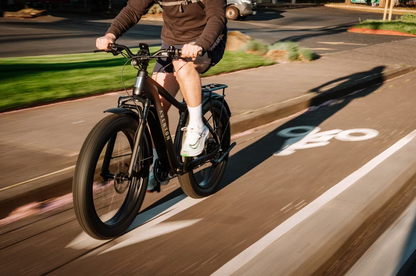 Aventon Aventure 3 Electric Bike