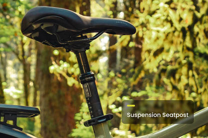 Aventon Aventure 3 Electric Bike