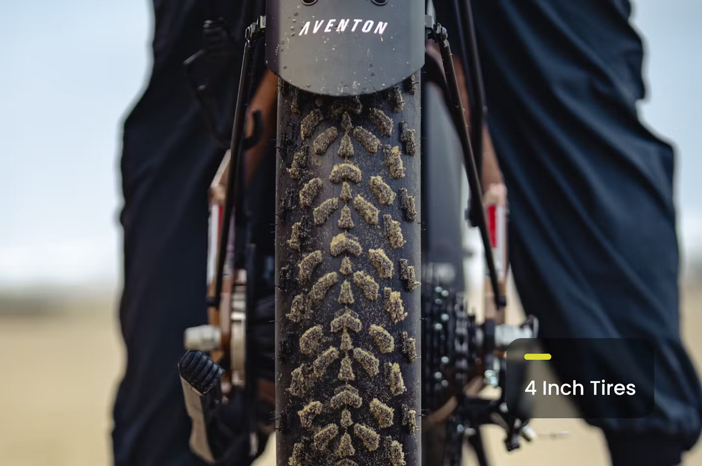 Aventon Aventure 3 Step-Through Electric Bike