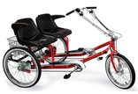 Worksman Electric Side-by-Side Team Dual Trike