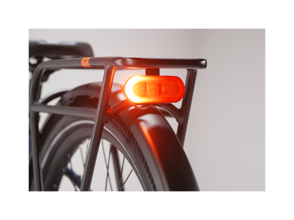 Radster™ Road Electric Commuter Bike